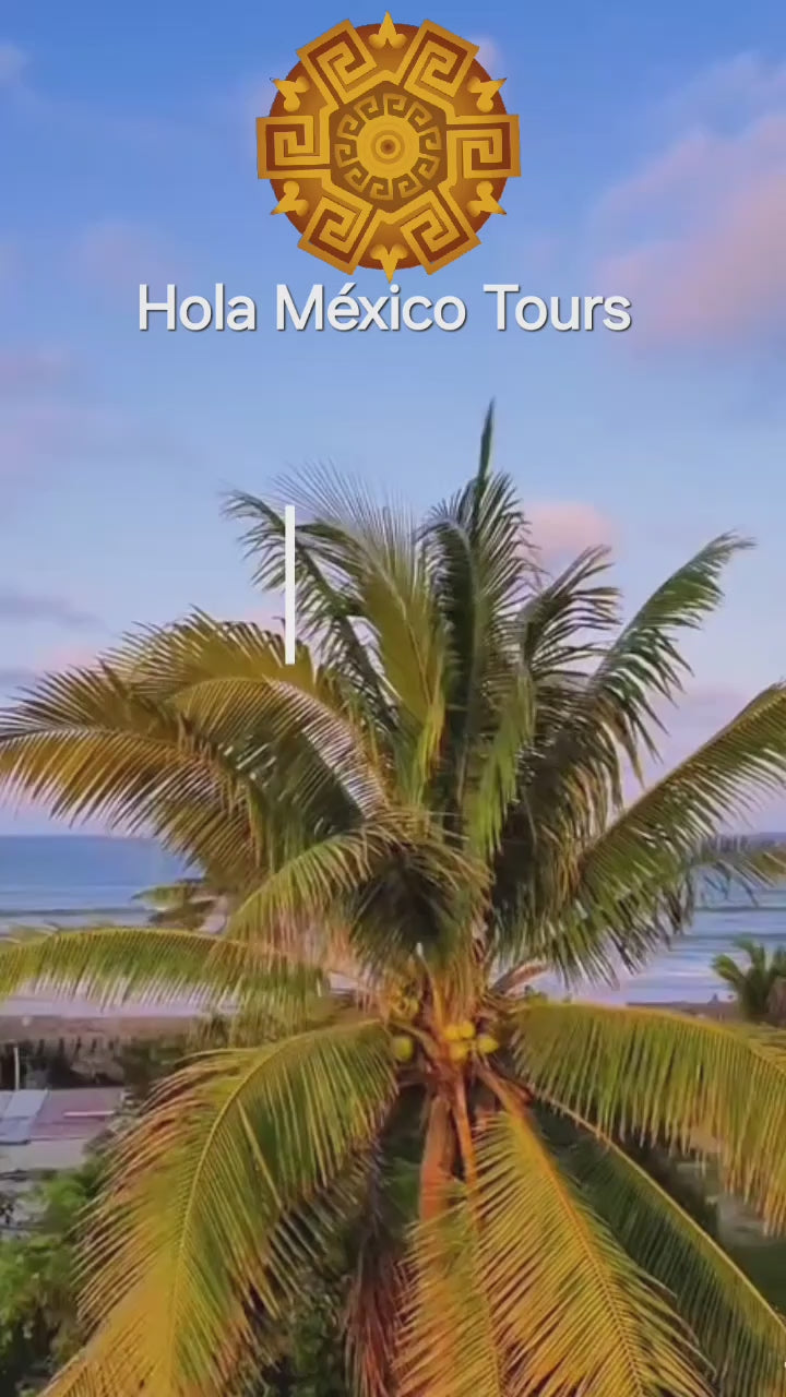 Cargar video: 